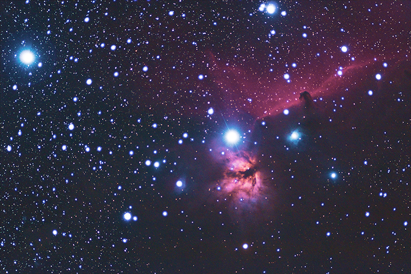 Horsehead and Flame Nebulae